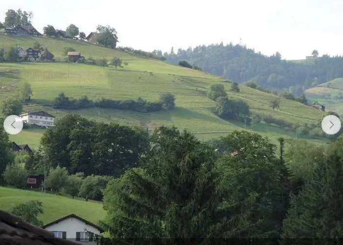 Rheintal-zimmer * Altstätten